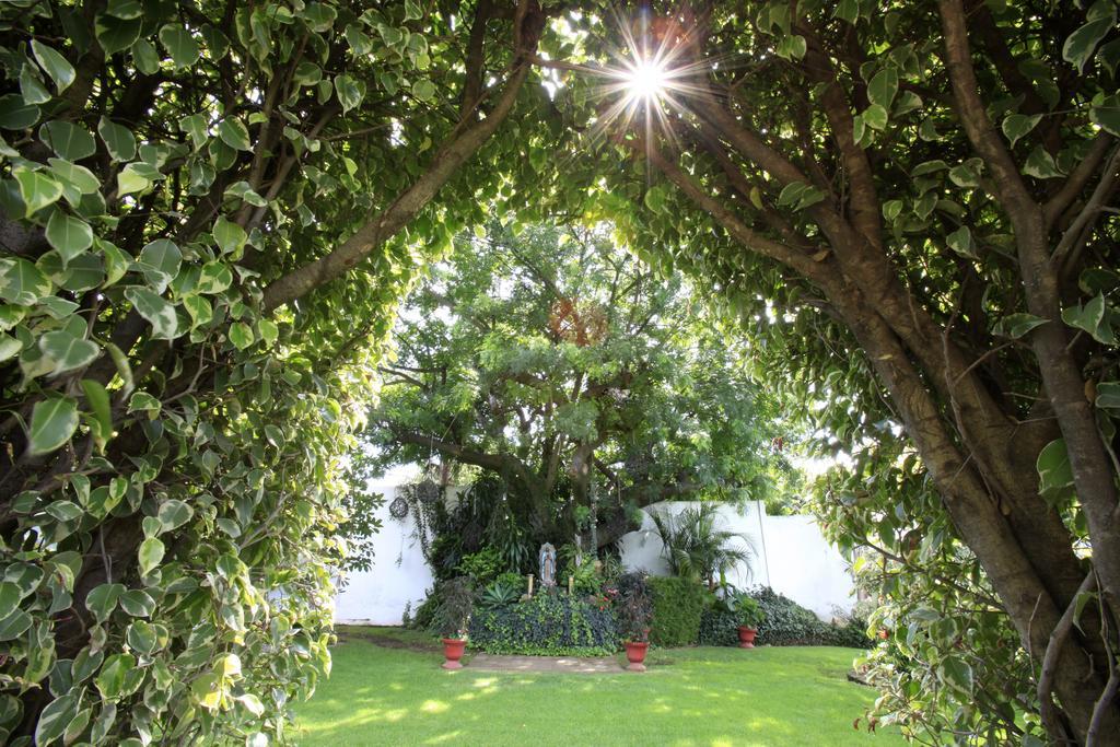 Villa Bejar Cuernavaca Bagian luar foto